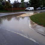 Catch Basin Flooding / Pooling (old) at 1303 105 Ave SW Southwest Calgary