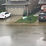 Catch Basin Flooding / Pooling (old) at 102 Auburn Glen Mr SE