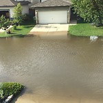 Catch Basin Flooding / Pooling (old) at 31 Weston Mr SW