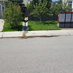 Catch Basin Flooding / Pooling (old) at 208 Royal Elm Rd NW
