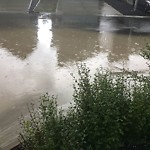 Catch Basin Flooding / Pooling (old) at 220 4 Av SW