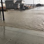 Catch Basin Flooding / Pooling (old) at 26 Auburn Shores Ca SE