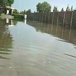 Catch Basin Flooding / Pooling (old) at 435 Astoria Cr SE