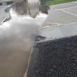 Catch Basin Flooding / Pooling (old) at 173 Auburn Sound Cl SE