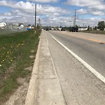 Spring On-Street Bike Lane Cleaning at 5681 11 St SE