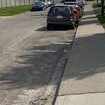 Spring On-Street Bike Lane Cleaning at 2001 24 St SW