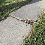 Sidewalk or Curb - Repair at 659 Woodpark Bv SW