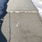 Sidewalk or Curb - Repair at 4012 Crestview Rd SW