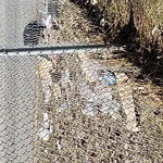 In a Park - Litter Pick Up or Overflowing Park Bins-WAM at Mc Knight Blvd NE Calgary Division No. 6