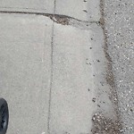 Sidewalk or Curb - Repair at 2338 Woodview Dr SW