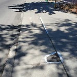 Sidewalk or Curb - Repair at 103 10 Av NW