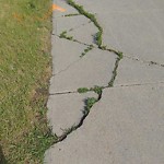 Sidewalk or Curb - Repair at 8298 Macleod Tr S