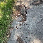 Sidewalk or Curb - Repair at 12019 Brae Rd SW