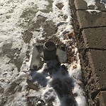Sidewalk or Curb Repair at 2423 Udell Rd NW