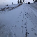 Snow on Pathway or City-maintained Sidewalk at 5329 22 Av NW