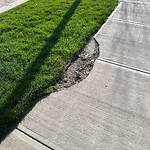 Sidewalk or Curb Repair at 107 Masters Rd SE