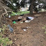 Garbage in a Park at 515 Scarboro Av SW