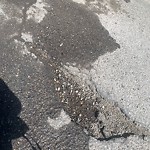 Pothole Repair at 2338 25 Av NW