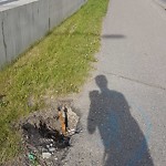 Shared Pedestrian and Cycling Path - Repair at 3925 17 Av SW