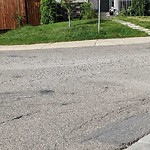 Debris on Street, Sidewalk, Boulevard at 4 Beacham Ri NW