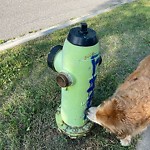 Fire Hydrant Concerns at 273 Inverness Pa SE