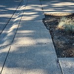 Sidewalk or Curb - Repair at 3130 66 Av SW