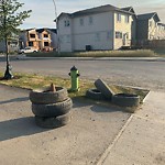 Debris on Street, Sidewalk, Boulevard at 39 Belvedere Pt SE