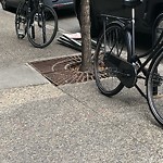 Debris on Street, Sidewalk, Boulevard at 308 5 Av SW