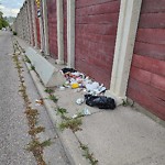 Debris on Street, Sidewalk, Boulevard at 2416 13 Av NW