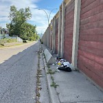 Debris on Street, Sidewalk, Boulevard at 2416 13 Av NW