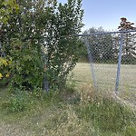 Fence Concern in a Park at 2439 Uxbridge Dr NW