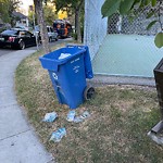 Debris on Street, Sidewalk, Boulevard at 849 Mcpherson Rd NE