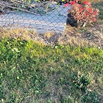 Fence Concern in a Park at 33 Auburn Bay Av SE