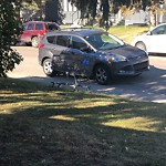 Debris on Street, Sidewalk, Boulevard at 2411 53 Av SW