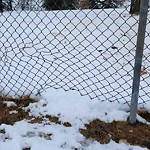 Fence Concern in a Park at 11500 Bonaventure Dr SE
