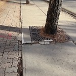 Pedestrian and Cycling Pathway - Repair at 738 9 Av SW