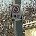 Sign on Street, Lane, Sidewalk - Repair or Replace at 2607 Centre St NW