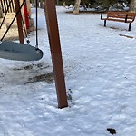 Fence Concern in a Park at 3041 Roxboro Glen Rd SW