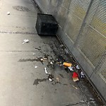 Debris on Street, Sidewalk, Boulevard at 140 10 Av SW