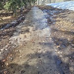 Snow On City-maintained Pathway or Sidewalk at 1794 90 Av SW