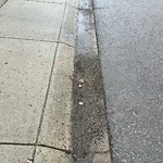 Spring On-Street Bike Lane Cleaning at 141 New Brighton Mr SE