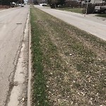 Spring On-Street Bike Lane Cleaning at 439 88 Av SE