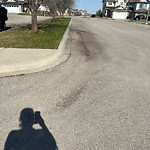 Spring On-Street Bike Lane Cleaning at 222 Royal Birch Pl NW