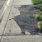 Sidewalk or Curb - Repair at 67 Sandringham Wy NW