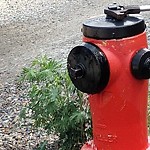 Fire Hydrant Concerns at 199 94 Av SE