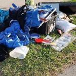 Debris on Street, Sidewalk, Boulevard at 319 Falshire Dr NE