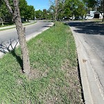 DO NOT USE - Mowing - Residential Boulevard up to 50km/h-WAM at 5 Chaparral Wy SE