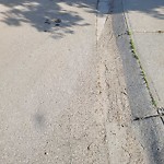 Spring On-Street Bike Lane Cleaning at 84 Douglasdale Pt SE
