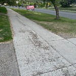 Spring On-Street Bike Lane Cleaning at 1180 29 St NW