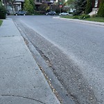 Spring On-Street Bike Lane Cleaning at 715 23 St NW